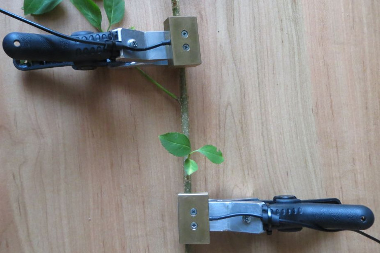 首页| 尊龙集团中国官方网站