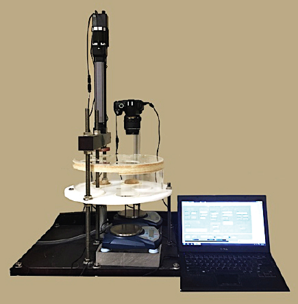 首页| 尊龙集团中国官方网站