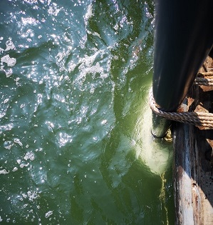 首页| 尊龙集团中国官方网站